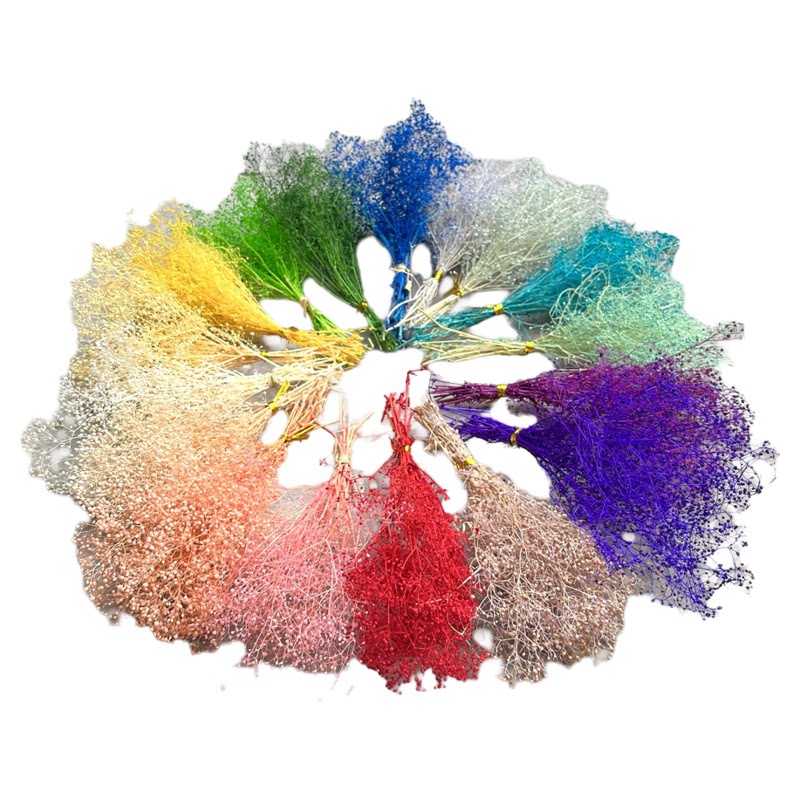 小霞草满天星干花束梦幻草百万星干花/花瓣/干花包/