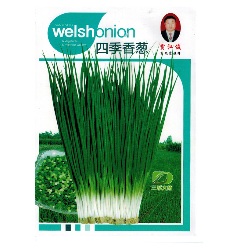 四季小葱种籽日本品种小香葱种子蔬菜种子/种苗