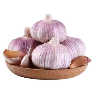 新鲜山东金乡紫白皮大蒜5斤新干蒜瓣新鲜白皮大蒜头优质干蒜便宜