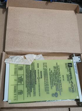 溢价-EGT-101PEPPERLFUCHS模块，备