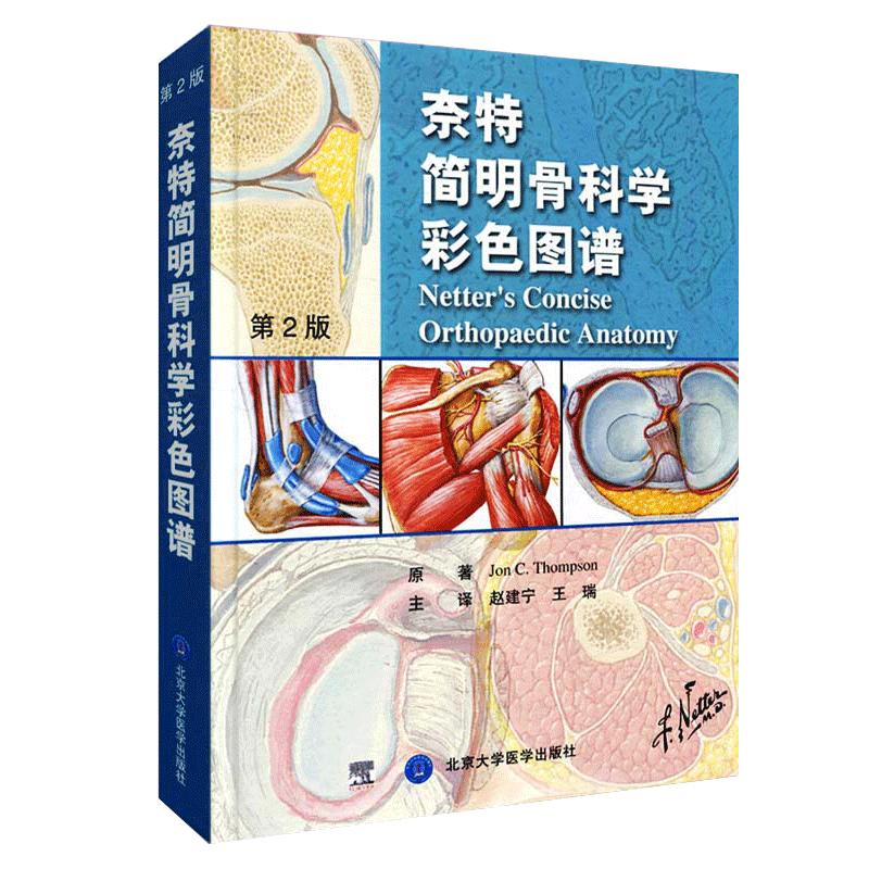 正版 奈特简明骨科学彩色图谱 第2版第二版精装骨科医学书籍骨科图谱图书 奈特简明骨科学图谱 奈特人体彩色解剖图谱9787565906596