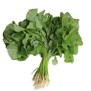 白苋菜种子盆栽小青菜野菜种籽苋菜四季蔬菜种阳台秋冬季种植春季