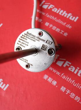 议价EH TR100-AAF2C3000 恩德斯豪斯全新温度传感器 PT100