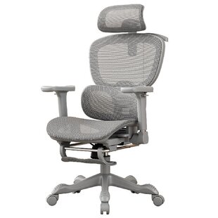 贝格特人体工学椅电脑椅家用舒适办公椅学生书房座久坐电竞椅子