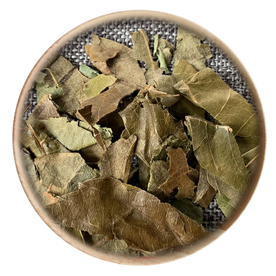50g枇杷叶可打粉满包邮