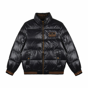 雷迪波尔男装羽绒服2025冬季新款立领休闲纯色鸭绒蓬松羽绒外套男