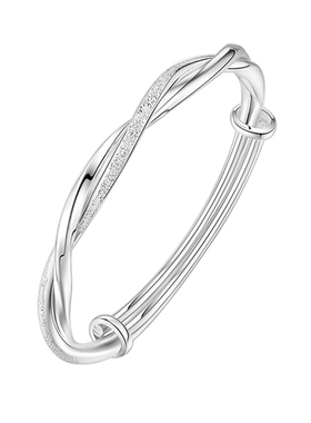 【一物一证】【实心足银999.9】