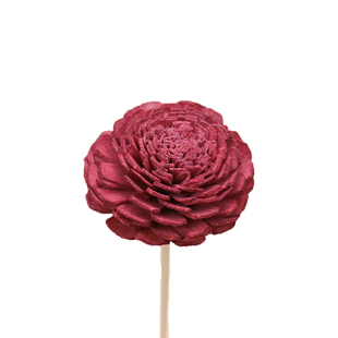 4.5cm手工染色无心菊通草花彩色无火香薰藤条扩香索拉花挥发干花