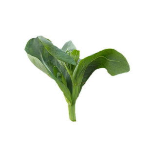 苏北霜冻菜心农家新鲜蔬菜油菜苔鲜嫩露天青菜苔菜尖菜花青菜头