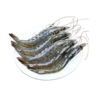 鲜活速冻新鲜野生青虾海鲜水产虾