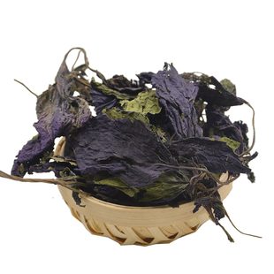 翊圆堂道地好苏叶紫苏叶2025苏叶养生干紫苏叶苏叶子100克包邮