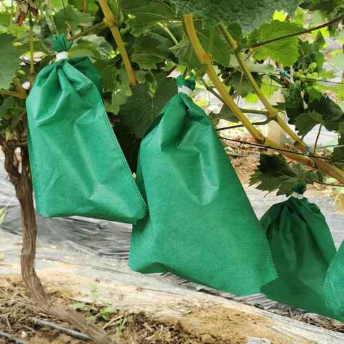 露天无纺布葡萄套袋铁丝扎口果林大棚透气防虫防鸟瓜果保护套袋