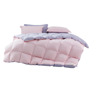 水星家纺羽绒被冬季保暖被子被芯抗菌防螨冬被冬天鸭绒被空调被