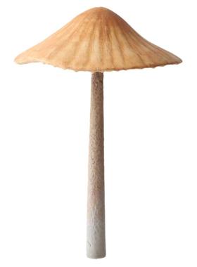 创意造景仿真蘑菇PU装饰摆件