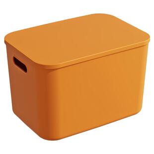 收纳盒桌面带盖零食整理盒长方形储物盒子塑料篮置物筐杂物收纳箱