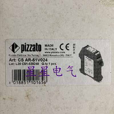 议价全新原包装皮扎特CSAR-51继电器 CS AR-51V024  CS AR-05V024
