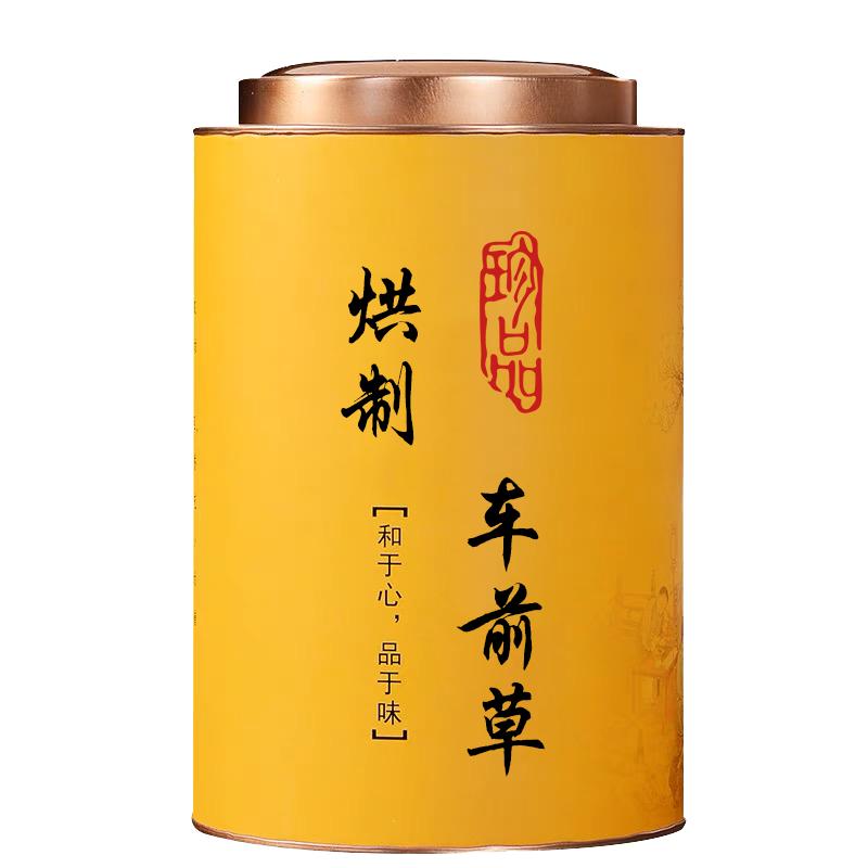 100包 三角包野生车前草茶深