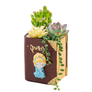 趣玩园艺创意卡通小王子公主文学书多肉花盆无底孔小花瓶笔筒收纳