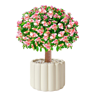 金枝玉叶老桩盆景多肉植物盆栽棒棒糖造型绿植花卉室内桌面好养活