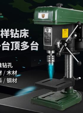 行家选阿斯兰立式台钻16mm钻床MD518单相550W全铜三相钻孔工业级