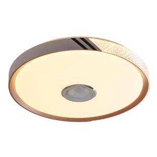 蓝牙灯音乐吸顶灯led圆形音响灯声控卧室灯家用房间智能遥控灯具