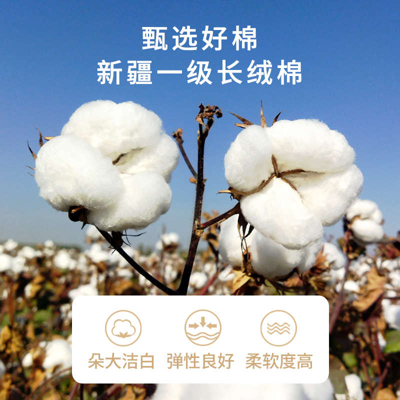 学生宿舍专用新疆棉花被子棉被被芯棉絮床垫褥子垫被加厚单人铺底