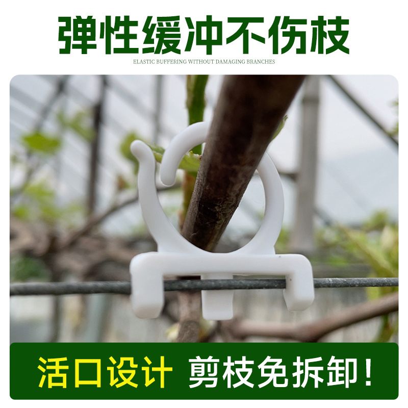 批发园艺大棚免拆卸绑葡萄卡扣猕猴桃绑枝卡扣多规格绑枝藤蔓卡扣