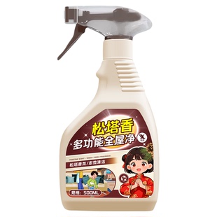多功能全屋大扫除清洁剂强力去污家政保洁专用家居厨房浴室清洗￥