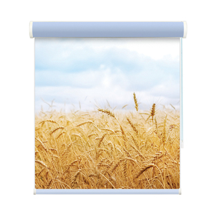 现代简约遮挡镜子架子上下拉动卷帘隔断玄关门升降帘图案logo定制