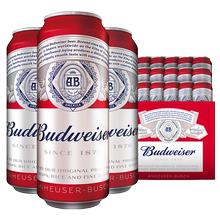 Budweiser/百威啤酒整箱经典醇正550ml*15大罐装熟啤酒整箱官方