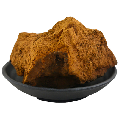 黑龙江伊春桦树茸500克包邮