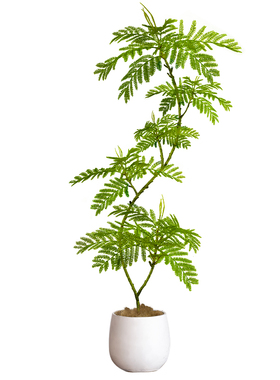 【高端轻奢】仿真蓝花楹绿植