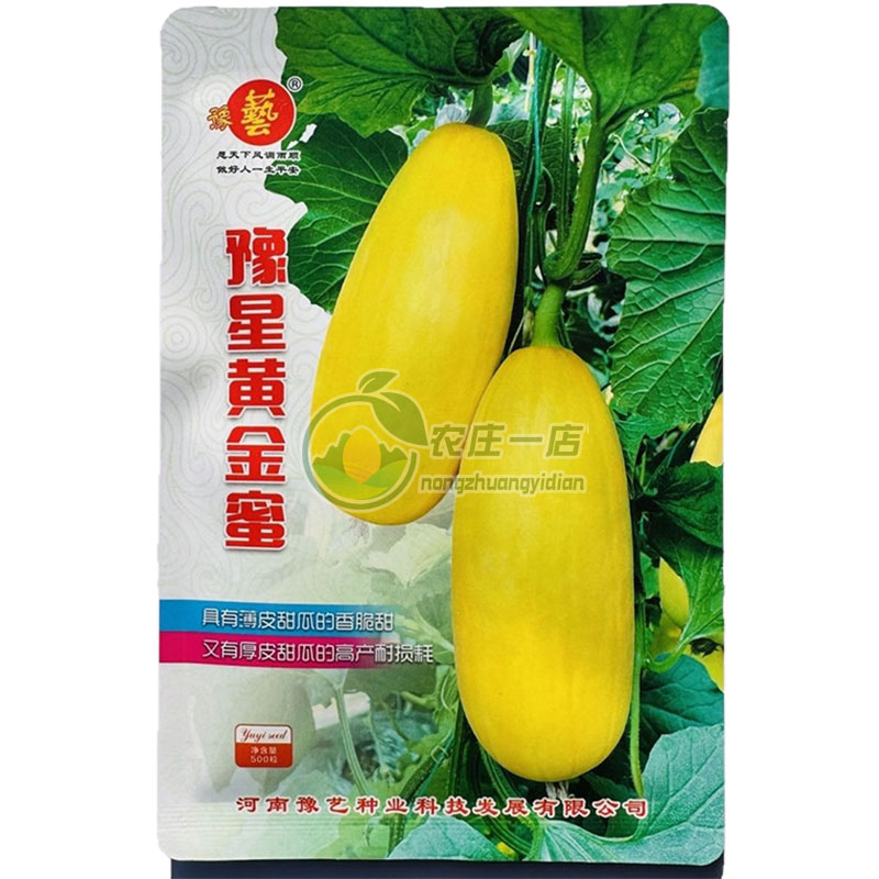 薄皮甜瓜种子棒状黄皮白肉香瓜籽