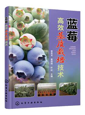蓝莓高效基质栽培技术 曾其龙 蓝莓基质栽培的现状与发展蓝莓生物学特性 全彩图解蓝莓基质有机栽培 蓝莓专业技术人员科研人员参考