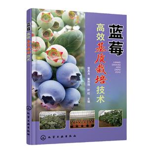 蓝莓高效基质栽培技术 曾其龙 蓝莓基质栽培的现状与发展蓝莓生物学特性 全彩图解蓝莓基质有机栽培 蓝莓专业技术人员科研人员参考