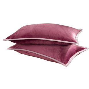 牛奶绒枕套一对装秋冬季加厚珊瑚枕头套48x74cm单人枕芯套内胆套