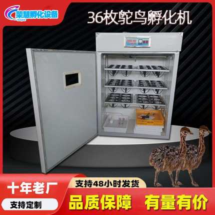 全自动鸵鸟孵化机鸸鹋智能孵化设备家用中小型孵化器孵化箱家禽
