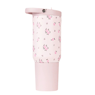 HYDROJUG吸管杯旅行杯办公室水杯女士高颜值2025新款大容量保温杯