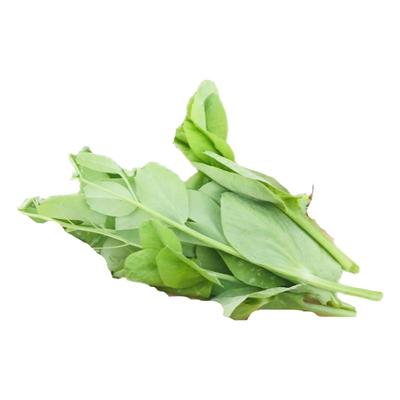 贵州豌豆尖新鲜蔬菜火锅菜当季豌豆苗嫩豌豆秧龙须菜3斤非种子