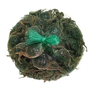 鲜活蟹全母小螃蟹公新鲜大闸蟹香辣蟹醉蟹河蟹稻田蟹海鲜水产顺丰