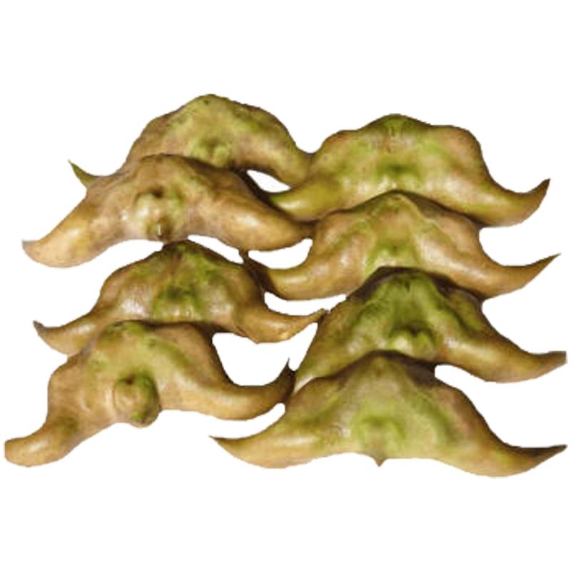 洪湖鲜脆洪湖菱角煮熟粉糯