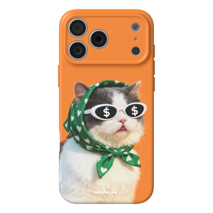 眼里有钱 原创适用iPhone17软壳苹果16ProMax华为mate60p精孔磨砂小米15小众13不撞壳14plus全包P60可爱P70