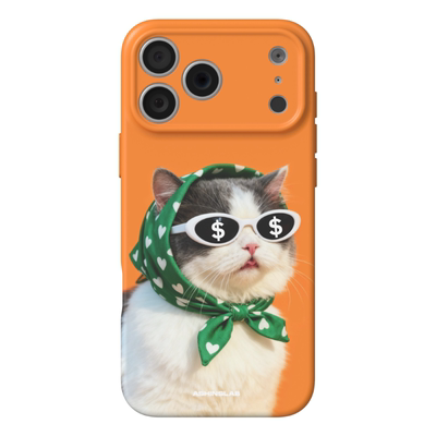 眼里有钱 原创适用iPhone17软壳苹果16ProMax华为mate60p精孔磨砂小米15小众13不撞壳14plus全包P60可爱P70