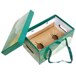 哈密瓜礼盒包装空盒子高档礼品盒天地盖带托2个装甜瓜陈列盒批发