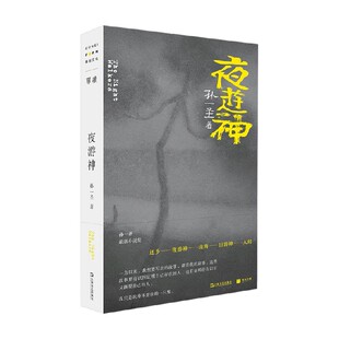 夜游神 孙一圣 著 小说