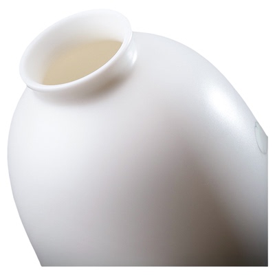 大师手绘花瓶摆件《玉笑珠香》