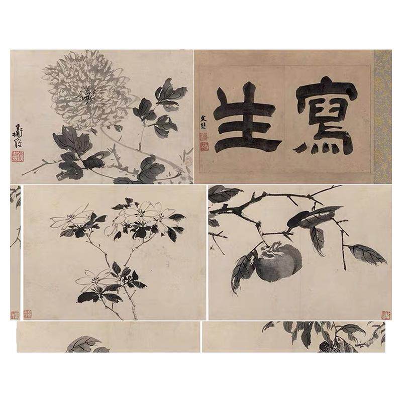 陈淳写生花卉20明代名画复制品
