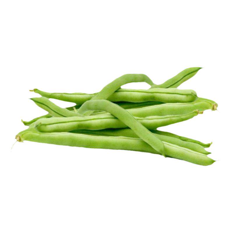 四季豆种子高产豆角种籽蔬菜盆栽菜豆矮生地豆早熟不搭架扁豆种子