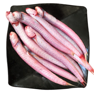 红血鱼潮汕赤岭鱼海捕冷冻食用海鲜水产红头鱼红条条新鲜海鱼500g