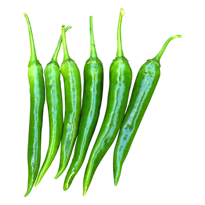 早熟春季盆栽蔬菜苗辣椒种子